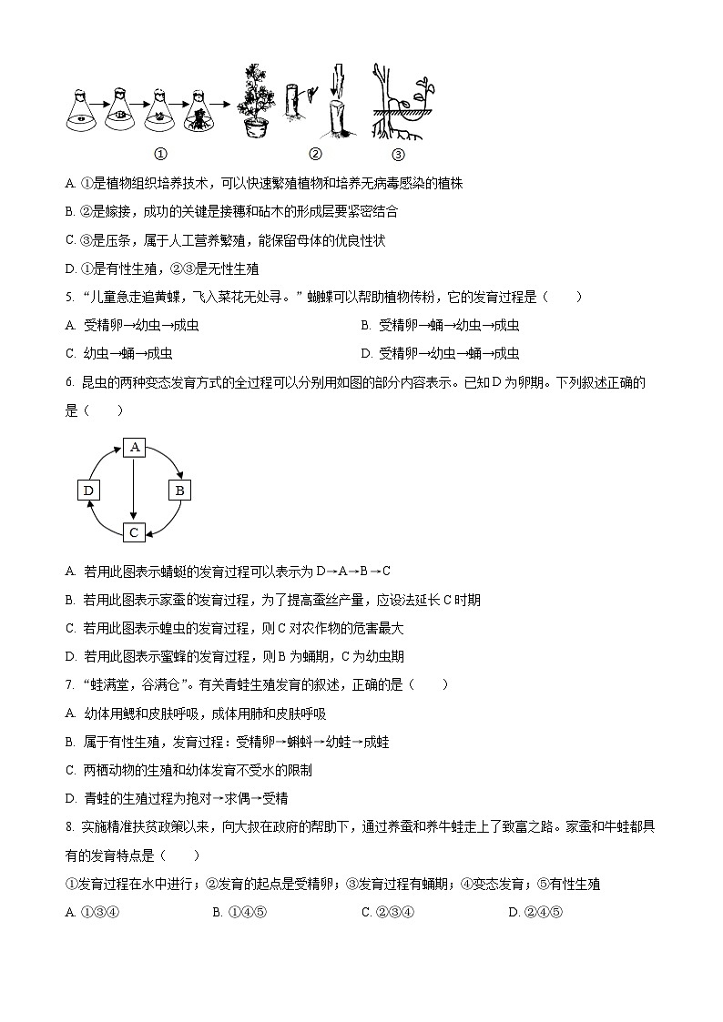 河北省邢台市五校联考2023-2024学年八年级下学期期中生物试题（原卷版+解析版）02