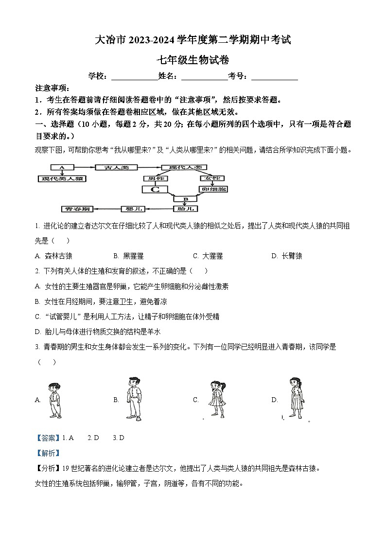 湖北省黄石市大冶市2023-2024学年七年级下学期期中生物试题（解析版）第1页