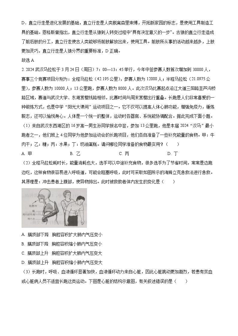 湖北省孝感市云梦县2023-2024学年七年级下学期期中生物试题（解析版）第2页