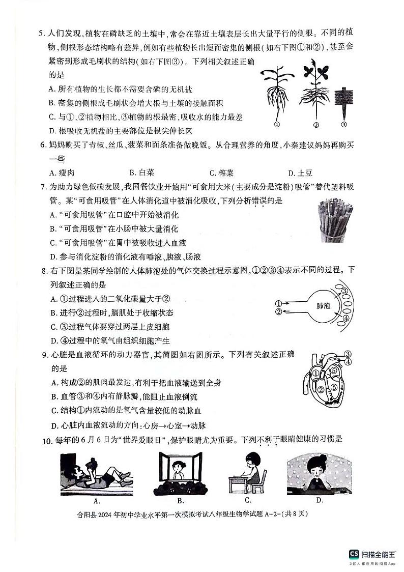 2024年陕西省渭南市合阳县中考一模生物试题第2页