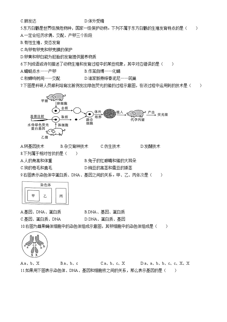 河北省邢台英华教育集团2023-2024学年八年级下学期4月期中生物试题第2页