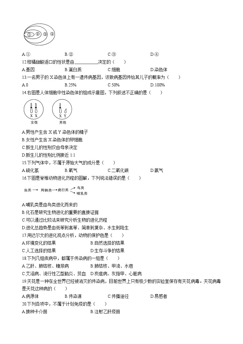 河北省邢台英华教育集团2023-2024学年八年级下学期4月期中生物试题第3页