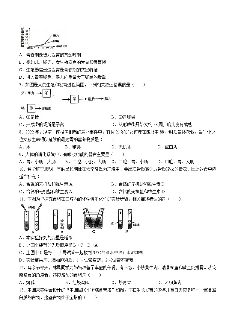 江西省南昌一中教育集团2023-2024学年七年级下学期期中阶段性学习质量检测生物试卷02