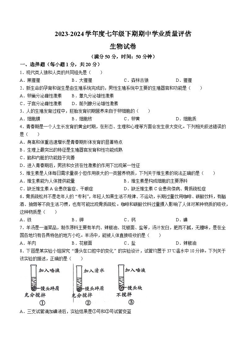 河南省漯河市召陵区2023-2024学年七年级下学期4月期中生物试题第1页