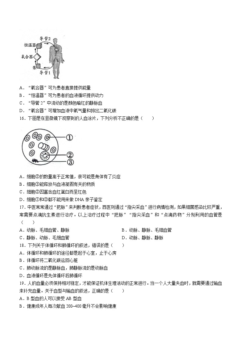 河南省漯河市召陵区2023-2024学年七年级下学期4月期中生物试题第3页