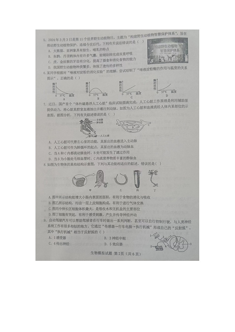 2024年山东省菏泽市成武县九年级初中学业水平考试生物试题（一模）02