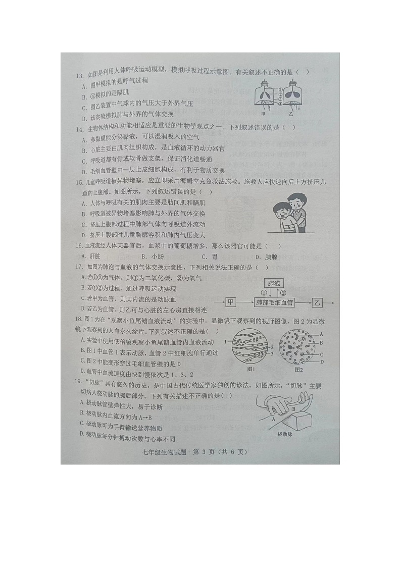 山东省菏泽市成武县2023-2024学年七年级下学期4月期中生物试题03