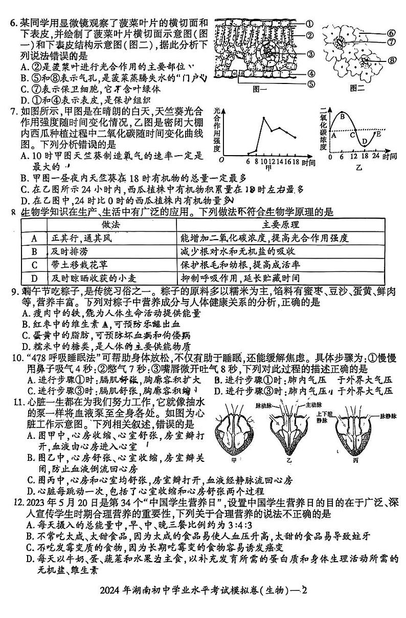 2024年湖南省邵阳市邵东城区初中学业水平模拟考试生物试题第2页