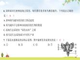2024年广东省初中学业水平考试生物学仿真试卷（一）课件