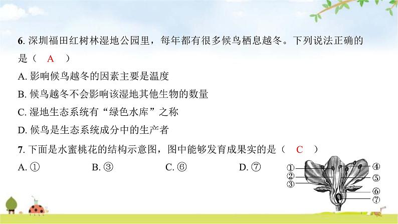 2024年广东省初中学业水平考试生物学仿真试卷（一）课件第4页