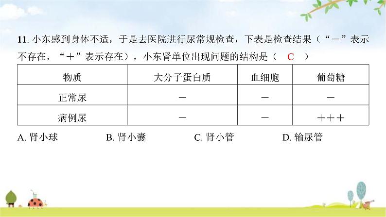 2024年广东省初中学业水平考试生物学仿真试卷（一）课件第7页