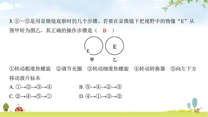 2024年广东省初中学业水平考试生物学仿真试卷（二）课件03