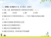 2024年广东省初中学业水平考试生物学仿真试卷（三）课件