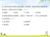 2024年广东省初中学业水平考试生物学仿真试卷（三）课件