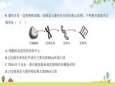 2024年广东省初中学业水平考试生物学仿真试卷（五）课件