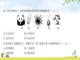 2024年广东省初中学业水平考试生物学仿真试卷（四）课件