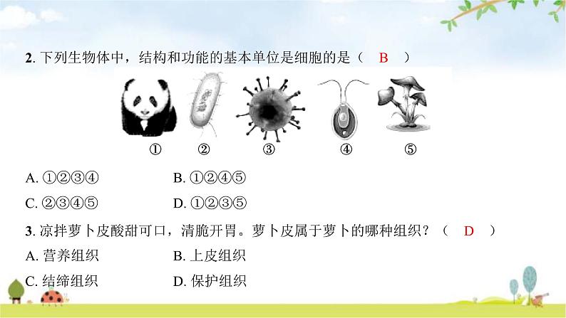 2024年广东省初中学业水平考试生物学仿真试卷（四）课件03