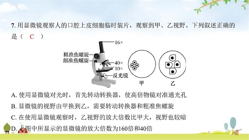 中考生物复习七年级上册生物学阶段检测卷课件第6页