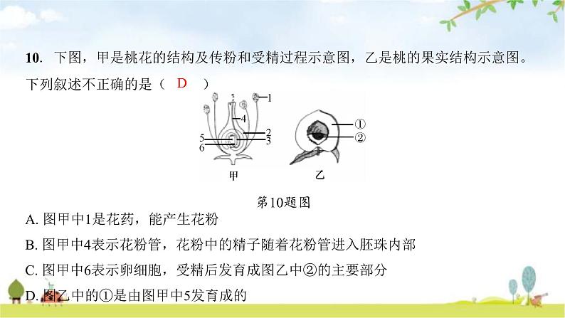 中考生物复习七年级上册生物学阶段检测卷课件第8页