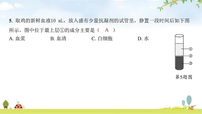 中考生物复习七年级下册生物学阶段检测卷课件第6页