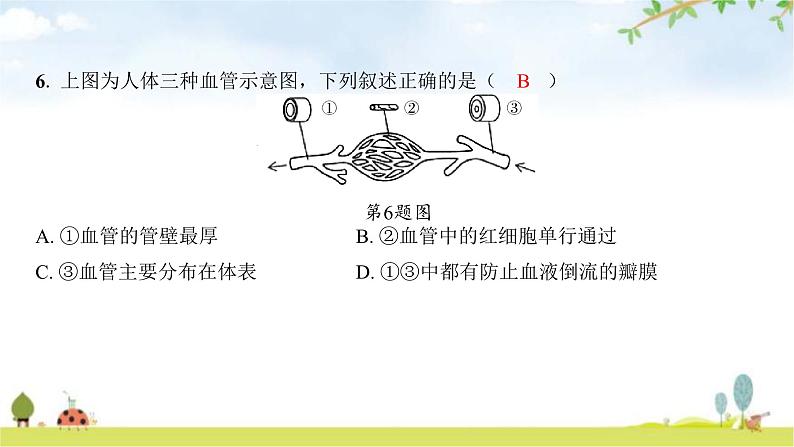 中考生物复习七年级下册生物学阶段检测卷课件第7页