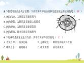 中考生物复习八年级下册生物学阶段检测卷课件