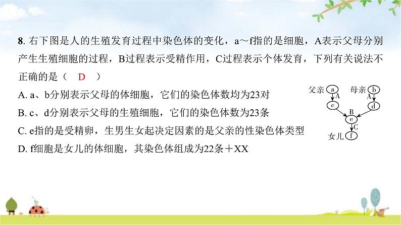 中考生物复习八年级下册生物学阶段检测卷课件第7页