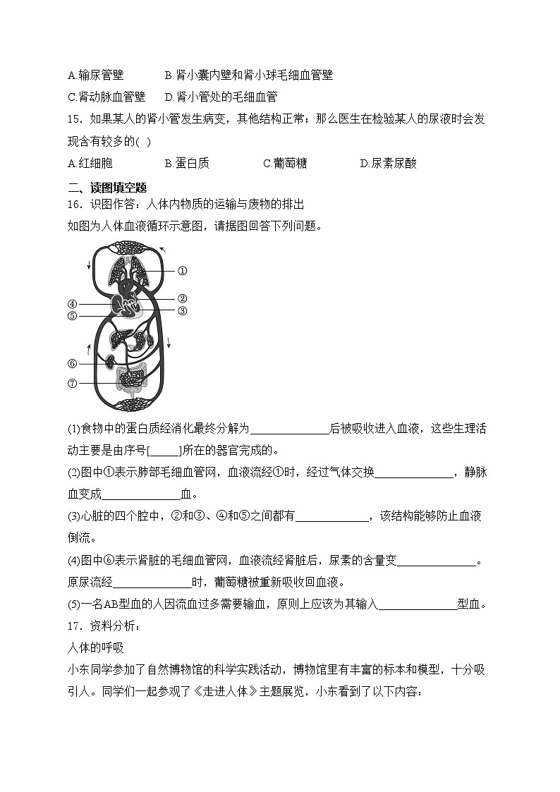 山西省吕梁市中阳县多校联考2022-2023学年七年级下学期5月月考生物试卷(含答案)03
