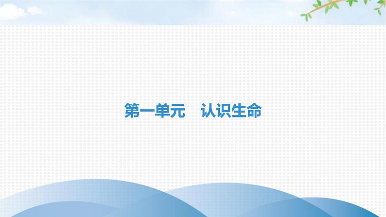 中考生物复习第一单元认识生命第一章生命的世界第二章探索生命课件第1页