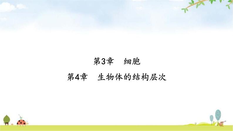 中考生物复习第二单元生物体的结构第三章细胞第四章生物体的结构层次课件第2页