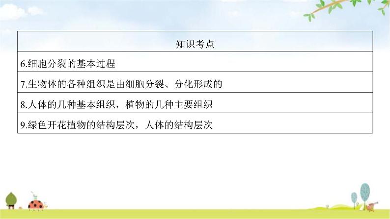 中考生物复习第二单元生物体的结构第三章细胞第四章生物体的结构层次课件第4页