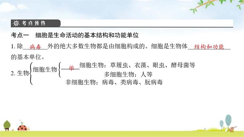 中考生物复习第二单元生物体的结构第三章细胞第四章生物体的结构层次课件第5页