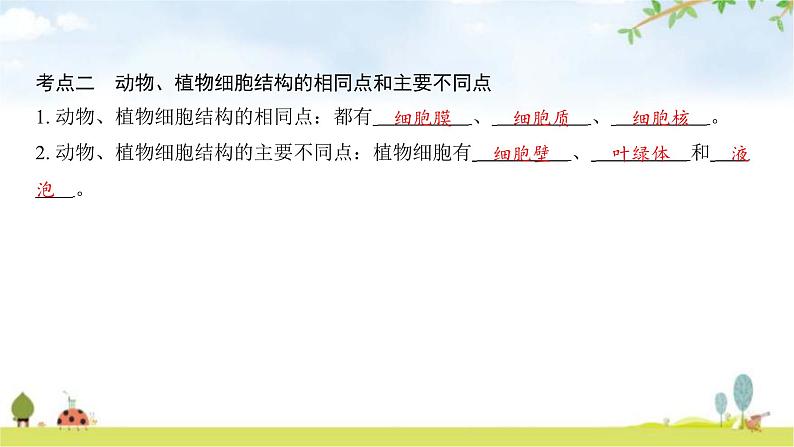 中考生物复习第二单元生物体的结构第三章细胞第四章生物体的结构层次课件第8页