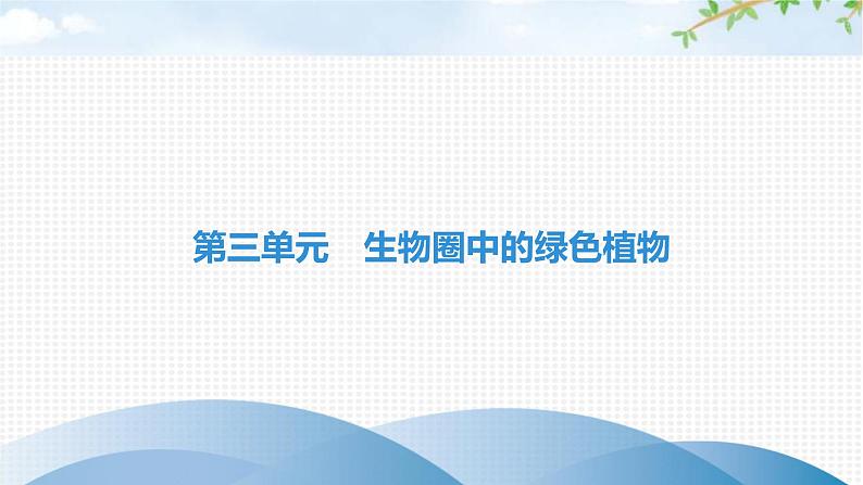 中考生物复习第三单元生物圈中的绿色植物第六章绿色开花植物的生活史第七章绿色植物与生物圈课件第1页