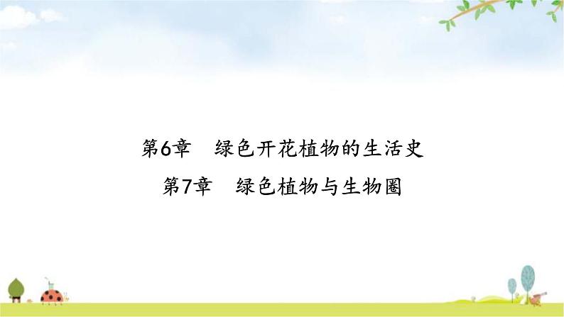 中考生物复习第三单元生物圈中的绿色植物第六章绿色开花植物的生活史第七章绿色植物与生物圈课件第2页