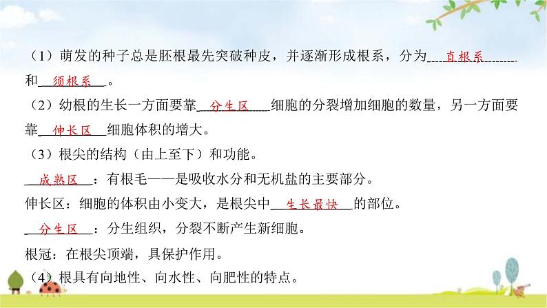 中考生物复习第三单元生物圈中的绿色植物第六章绿色开花植物的生活史第七章绿色植物与生物圈课件第8页