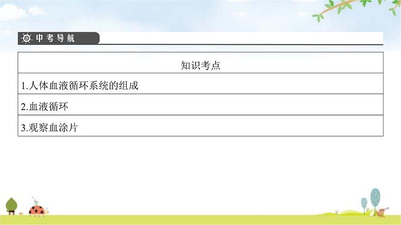 中考生物复习第四单元生物圈中的人第九章人体内的物质运输课件第3页