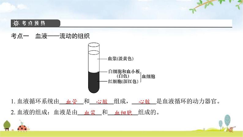 中考生物复习第四单元生物圈中的人第九章人体内的物质运输课件第4页