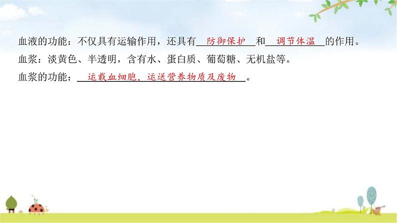 中考生物复习第四单元生物圈中的人第九章人体内的物质运输课件第5页