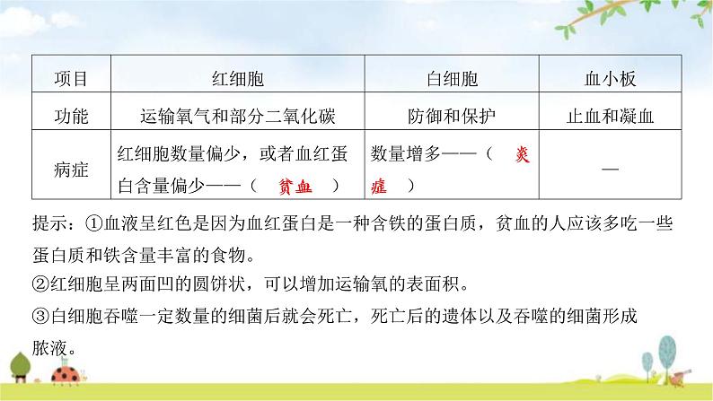 中考生物复习第四单元生物圈中的人第九章人体内的物质运输课件第7页