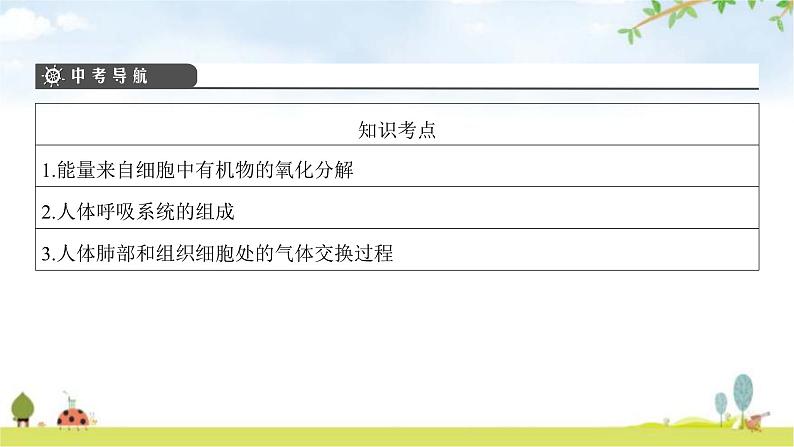 中考生物复习第四单元生物圈中的人第十章人体的能量供应课件第3页