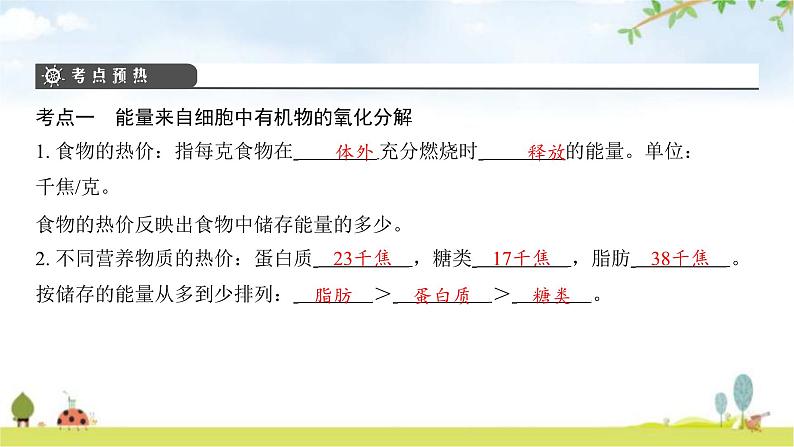 中考生物复习第四单元生物圈中的人第十章人体的能量供应课件第4页