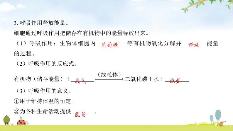 中考生物复习第四单元生物圈中的人第十章人体的能量供应课件第5页