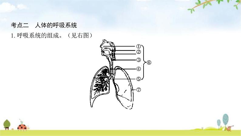 中考生物复习第四单元生物圈中的人第十章人体的能量供应课件第6页