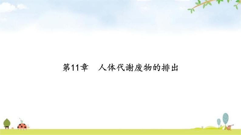 中考生物复习第四单元生物圈中的人第十一章人体代谢废物的排出课件第2页