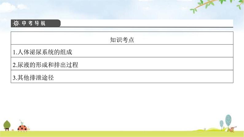 中考生物复习第四单元生物圈中的人第十一章人体代谢废物的排出课件第3页