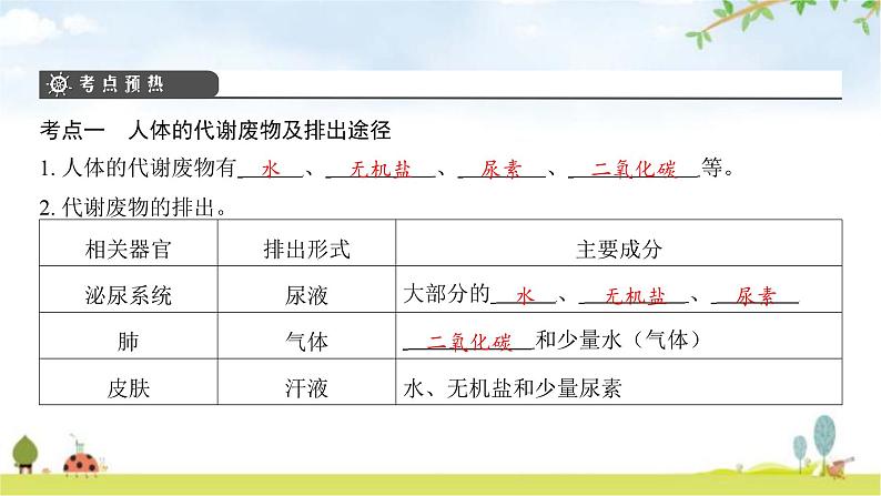 中考生物复习第四单元生物圈中的人第十一章人体代谢废物的排出课件第4页