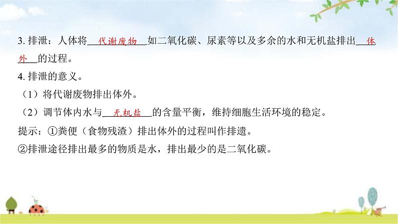 中考生物复习第四单元生物圈中的人第十一章人体代谢废物的排出课件第5页