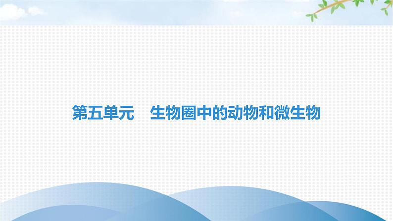 中考生物复习第五单元生物圈中的动物和微生物第十五章动物的运动课件第1页