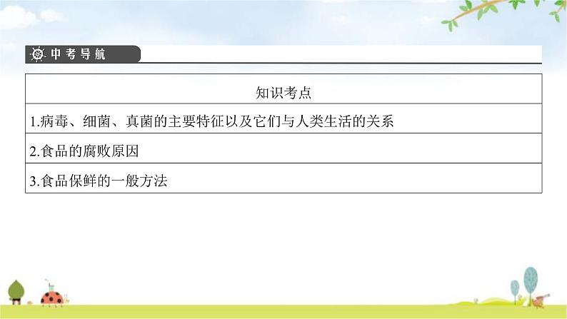 中考生物复习第五单元生物圈中的动物和微生物第十八章生物圈中的微生物课件第3页